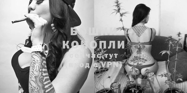 гашик Семикаракорск