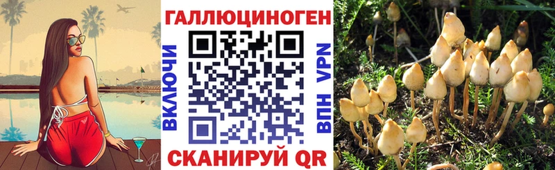 Купить где  Юрьев-Польский  Галлюциногенные грибы Cubensis 